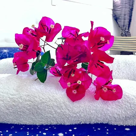 Accogliente Nel Con Piscina * Badesi