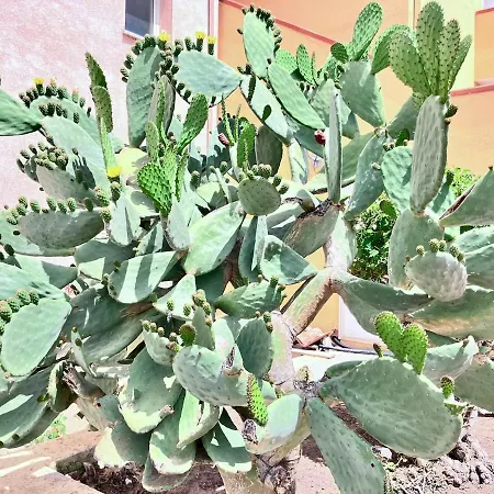 Apartamento Accogliente Nel Con Piscina